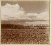 Вид от памятника на редуте Раевского на Бородино. 1911

Репродукция №02212